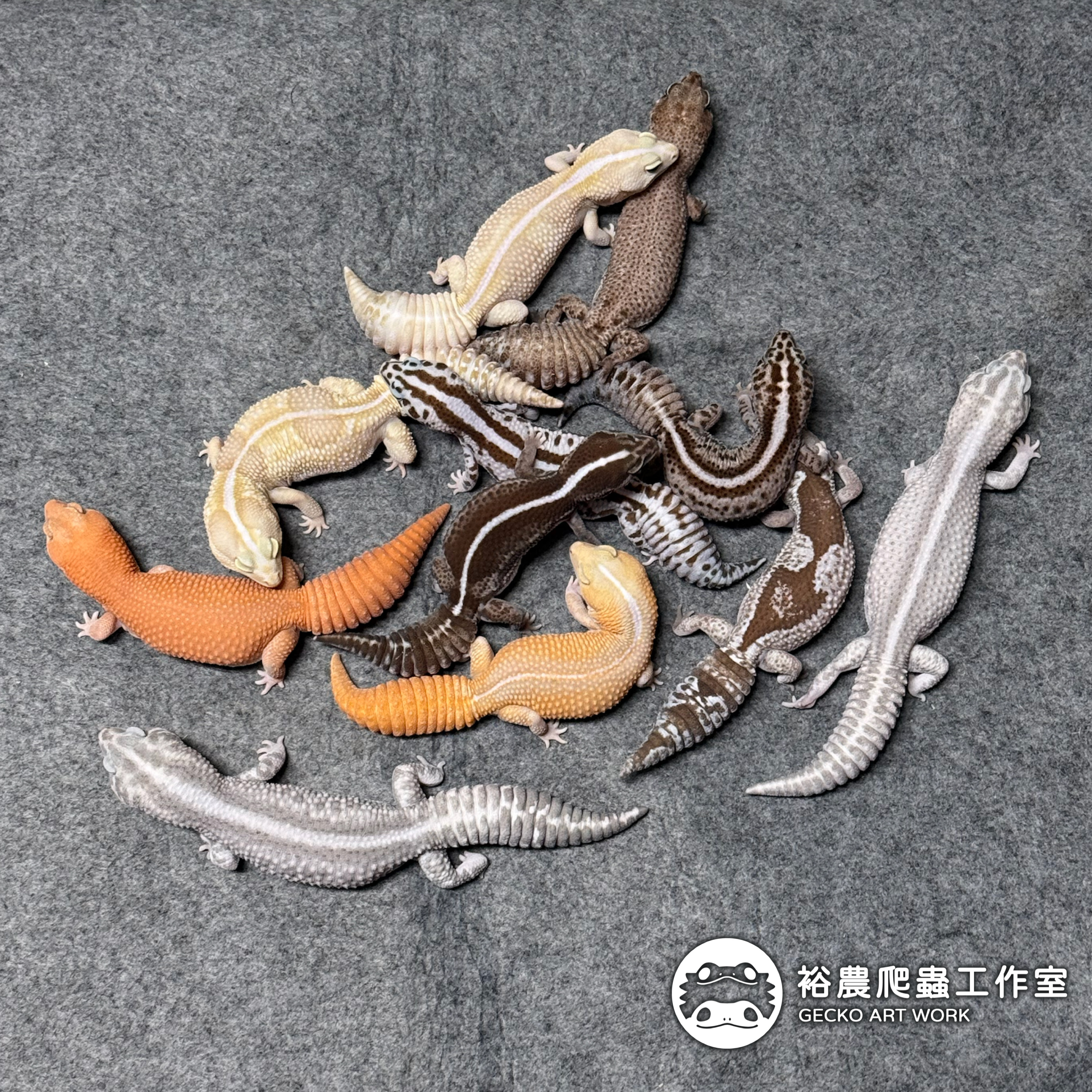 裕農爬蟲工作室